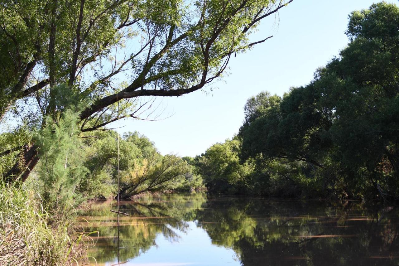 Verde Ranch Rv Resort Camp Verde Εξωτερικό φωτογραφία